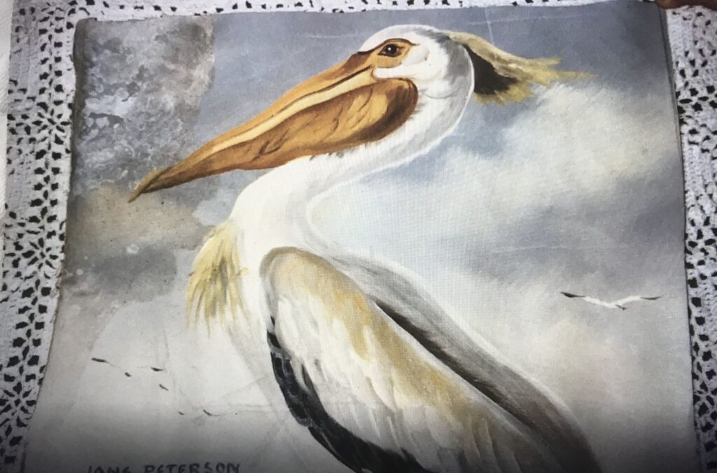 Pelican by Jane Peterson