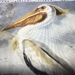 Pelican by Jane Peterson
