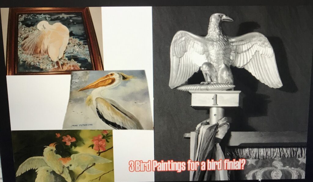 3 bird paintings for a Museum's bird finial...