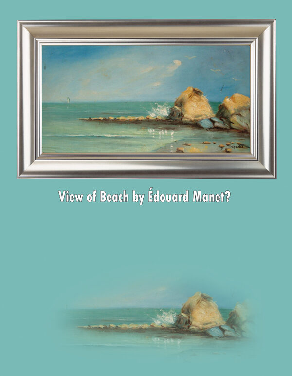 manet_booklet_front_cover-2